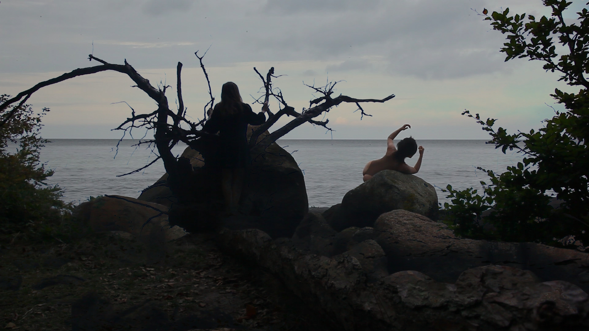 Chiaroscuro Still 06