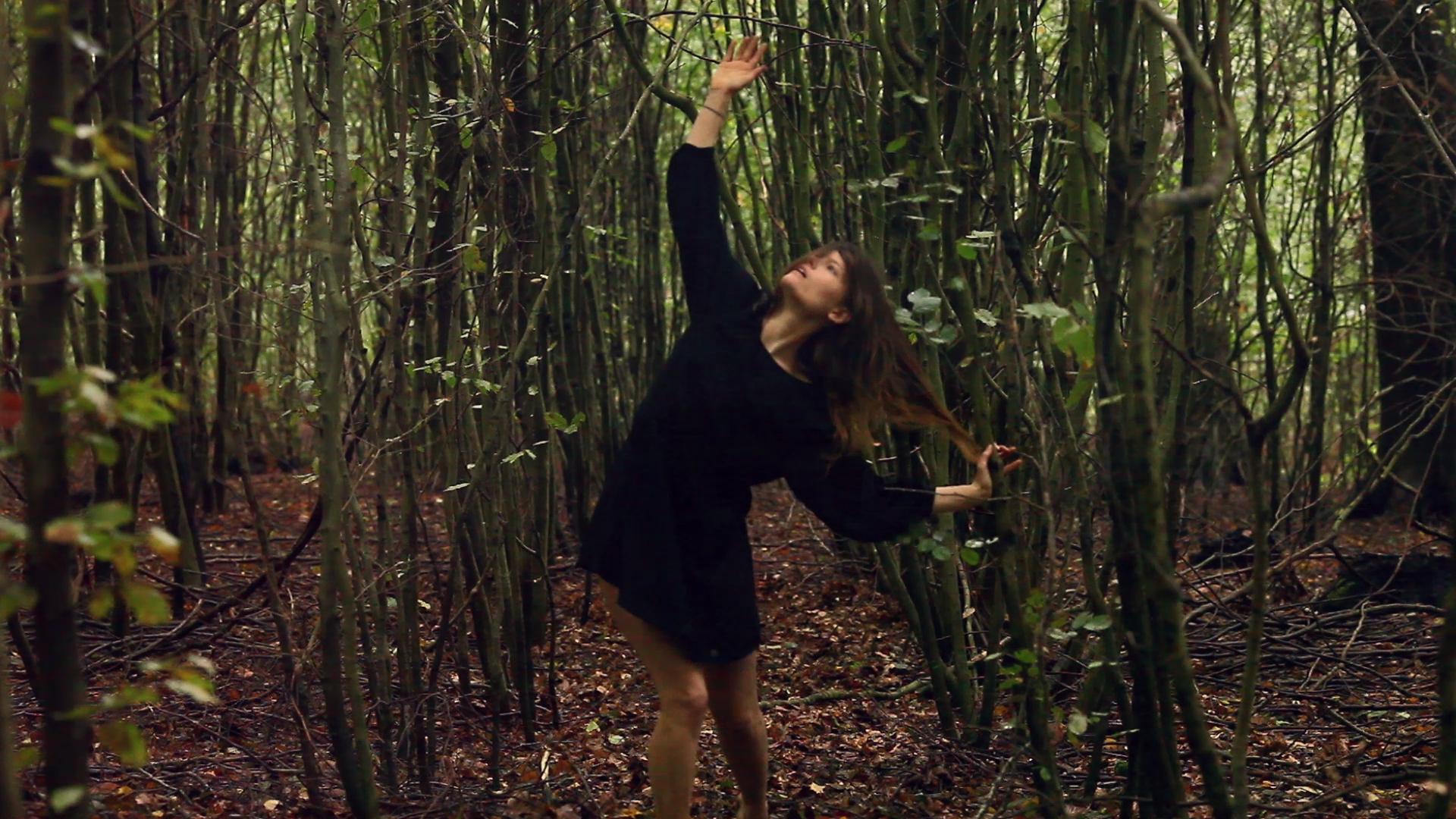 Chiaroscuro Still 07